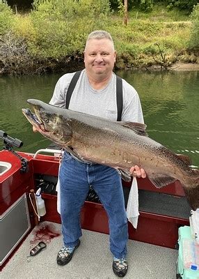 alsea fishing report|alsea river steelhead fishing report.